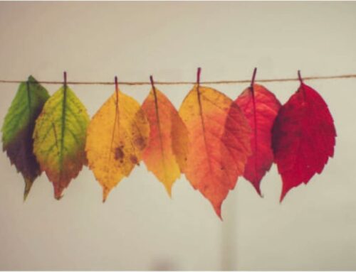 Tips for Selling Your Home in Autumn